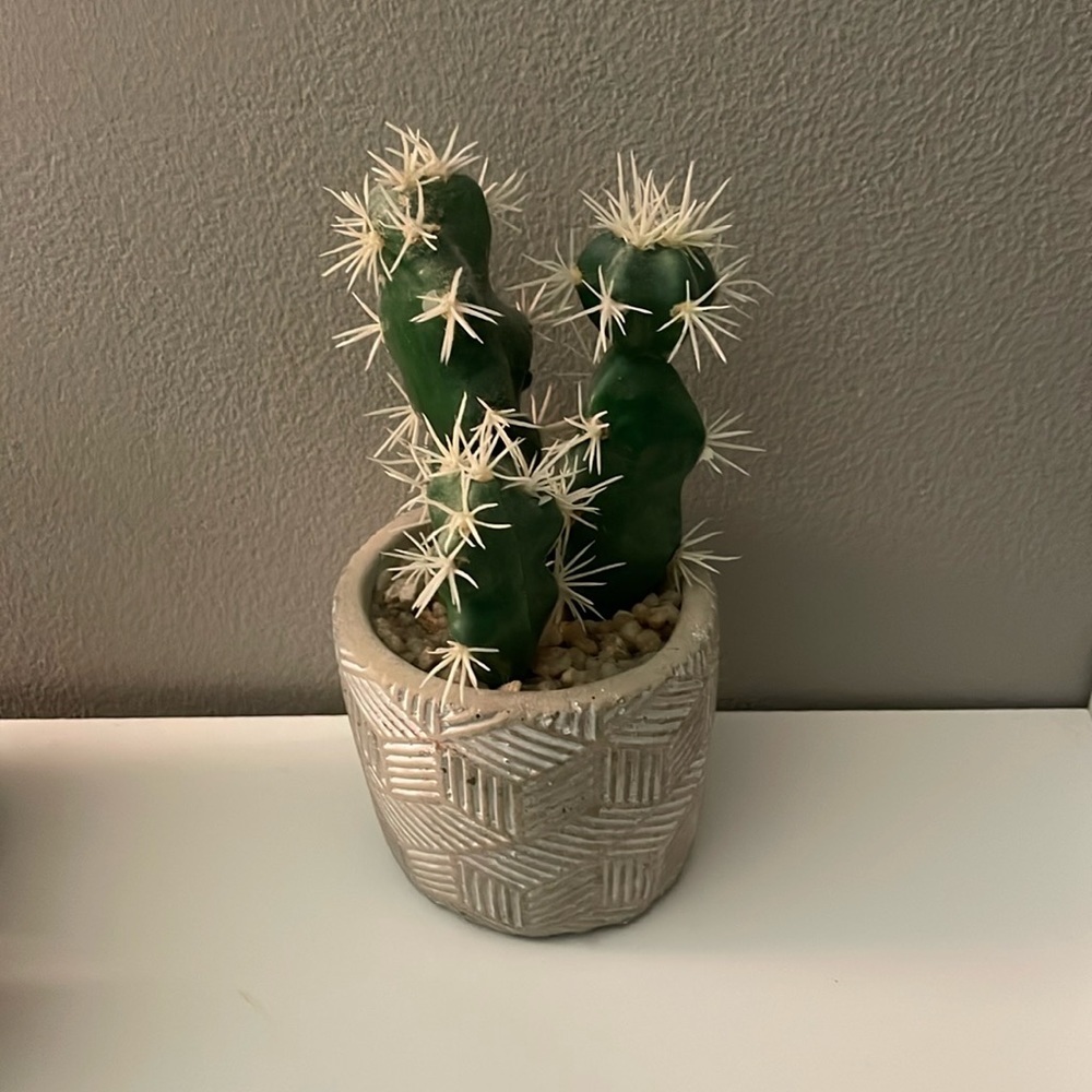 fake plant decor